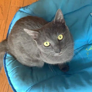 Meet your Posher, Katie